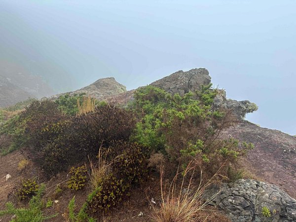 Pico das RoΓ§adas