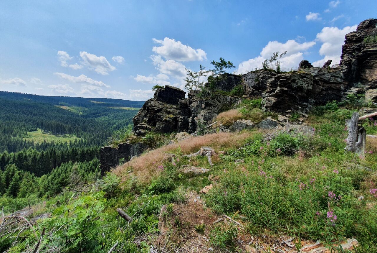 Na Strašidlech (918 m) - Krušné hory | Hory.app